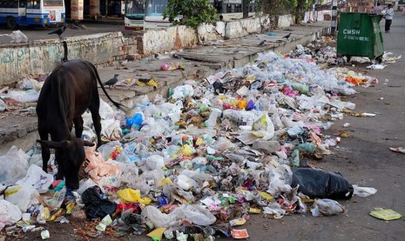 490A-Chennai waste